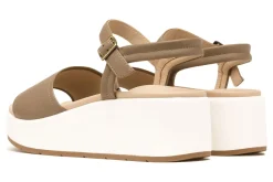 ABEO Solstice Buckle Sandal-Women Standard | Education