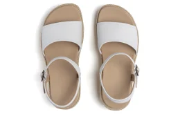 ABEO Solstice Buckle Sandal-Women Standard | Education