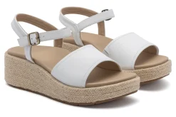 ABEO Solstice Buckle Sandal Metatarsal-Women Standard | Education
