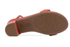 ABEO Tempo Strap-Women Standard | Education