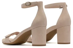 ABEO Tempo Strap-Women Standard | Education