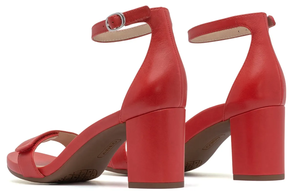 ABEO Tempo Strap-Women Standard | Education