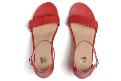 ABEO Tempo Strap Metatarsal-Women Standard | Education