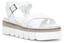 ara Forest Hills-Women Standard | Sandals