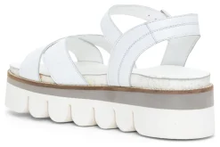 ara Forest Hills-Women Standard | Sandals