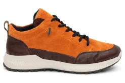 ara Highland-Women Standard | Boots