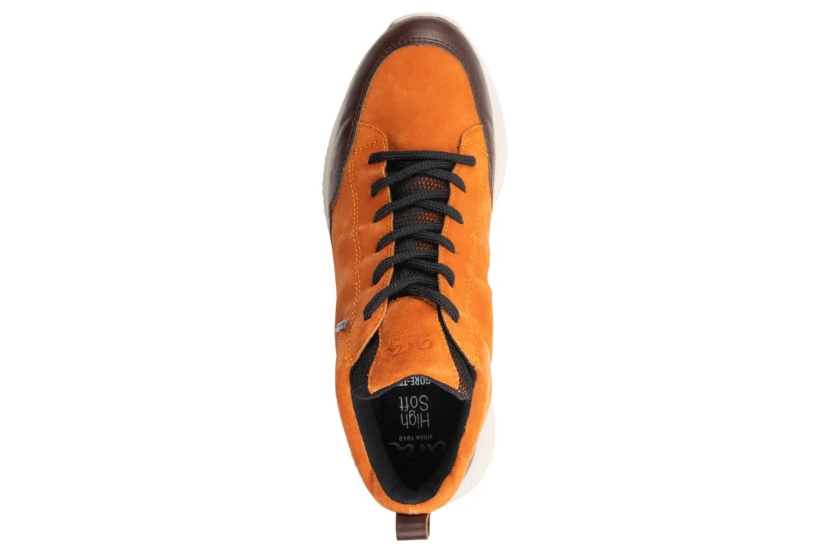 ara Highland-Women Standard | Boots