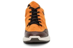 ara Highland-Women Standard | Boots