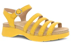 Dansko Roxie-Women Standard | Education