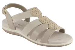 David Tate Quilt-Women Standard | Extra Wide