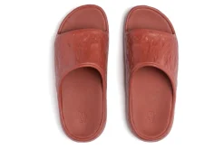 KLLY Rover W-Women Standard | Active