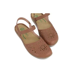 Naot Arataki-Women Standard | Education