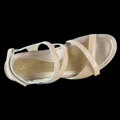 Naot Limit-Women Standard | Office