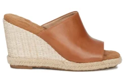 Ros Hommerson Kinsley-Women Standard | Office