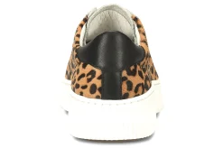 Sofft Fianna-Women Standard | Casual Shoes