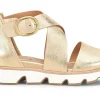 Sofft Mackenna-Women Standard | Sandals