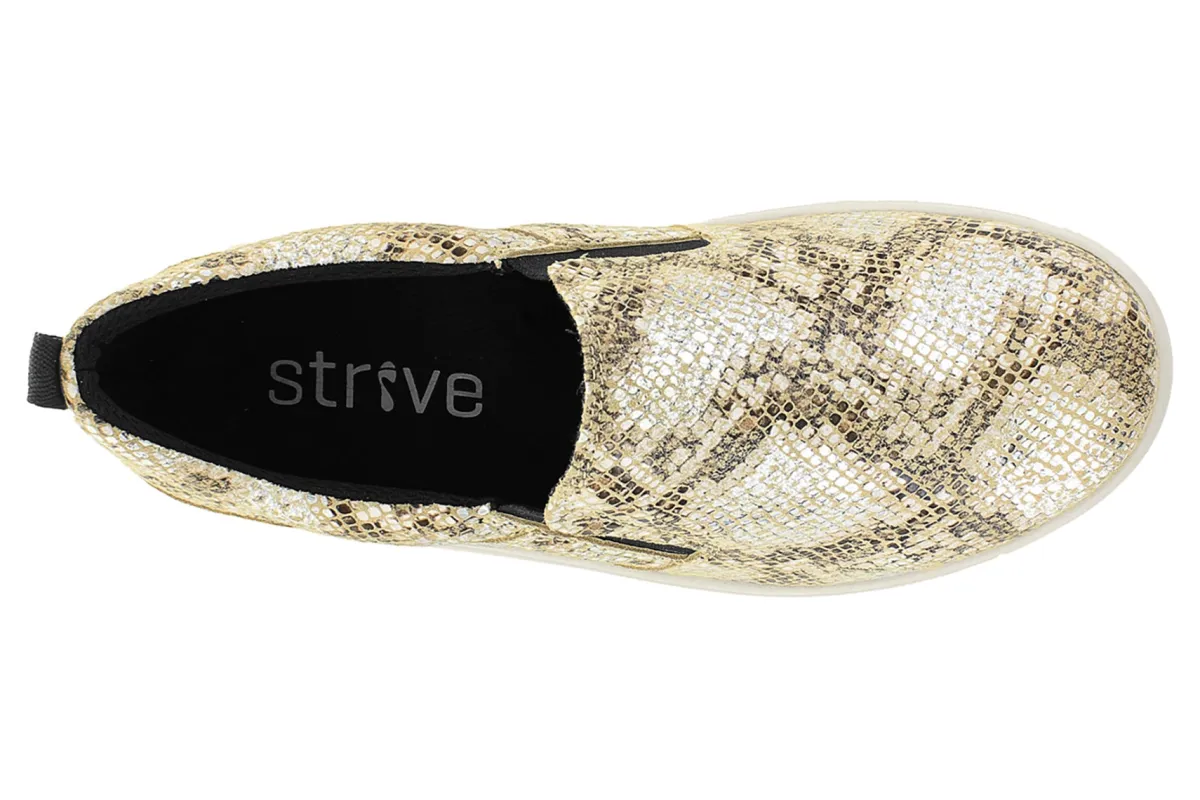 Strive Florida-Women Standard | Casual Shoes