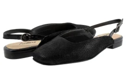 Trotters Holly-Women Standard | Wide