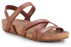 Walking Cradles Pool-Women Standard | Extra Wide